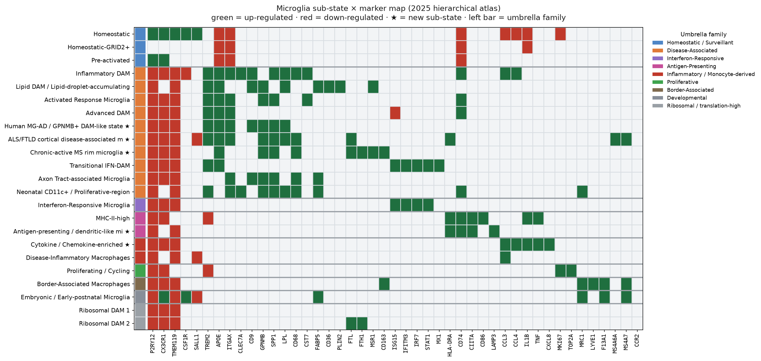 Microglia sub-state by marker map (human)